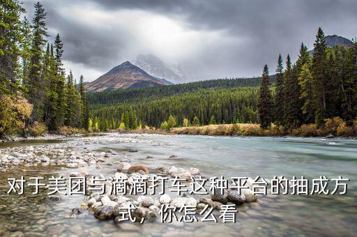 對(duì)于美團(tuán)與滴滴打車(chē)這種平臺(tái)的抽成方式，你怎么看