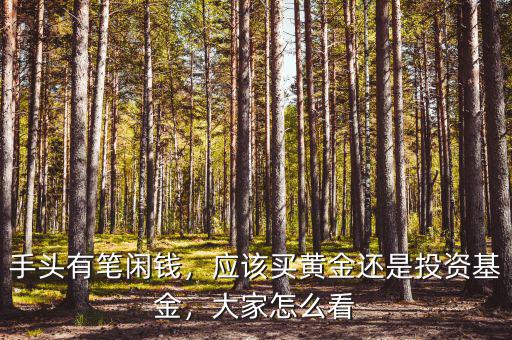 手頭有筆閑錢，應該買黃金還是投資基金，大家怎么看