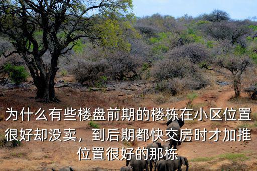 為什么有些樓盤前期的樓棟在小區(qū)位置很好卻沒賣，到后期都快交房時(shí)才加推位置很好的那棟