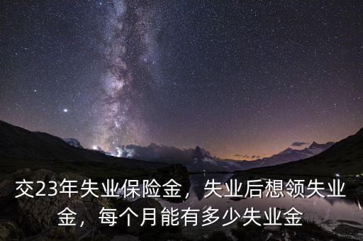 交23年失業(yè)保險(xiǎn)金，失業(yè)后想領(lǐng)失業(yè)金，每個(gè)月能有多少失業(yè)金