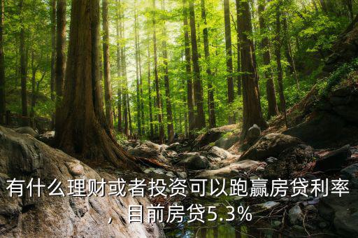 有什么理財或者投資可以跑贏房貸利率，目前房貸5.3%
