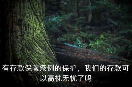 有存款保險條例的保護，我們的存款可以高枕無憂了嗎