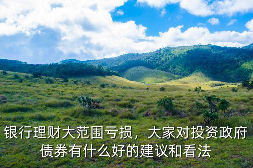 銀行理財大范圍虧損，大家對投資政府債券有什么好的建議和看法