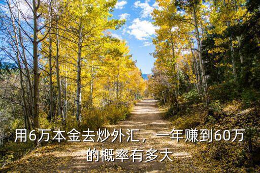 用6萬(wàn)本金去炒外匯，一年賺到60萬(wàn)的概率有多大