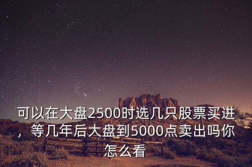 可以在大盤2500時(shí)選幾只股票買進(jìn)，等幾年后大盤到5000點(diǎn)賣出嗎你怎么看