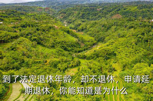 到了法定退休年齡，卻不退休，申請延期退休，你能知道是為什么