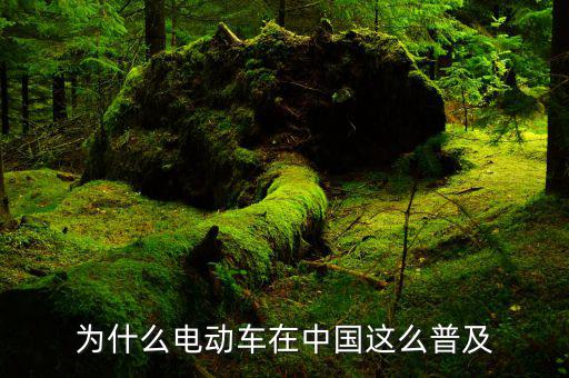 中國有多少輛電動(dòng)車,為什么電動(dòng)車在中國這么普及