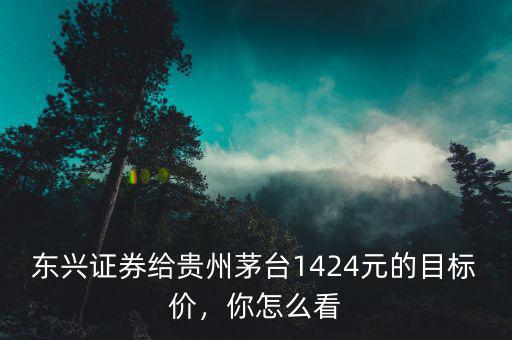 東興證券給貴州茅臺1424元的目標(biāo)價，你怎么看