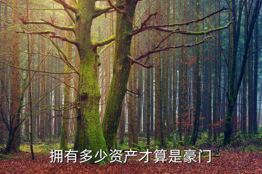 擁有多少資產(chǎn)才算是豪門(mén)