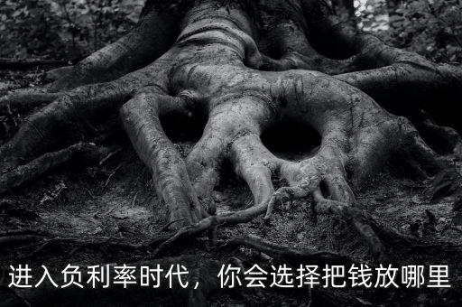 進(jìn)入負(fù)利率時(shí)代，你會(huì)選擇把錢放哪里
