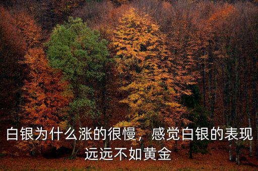 白銀為什么漲的很慢，感覺白銀的表現(xiàn)遠(yuǎn)遠(yuǎn)不如黃金
