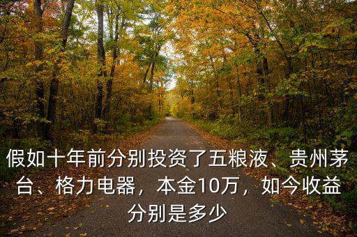 假如十年前分別投資了五糧液、貴州茅臺(tái)、格力電器，本金10萬(wàn)，如今收益分別是多少
