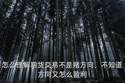 怎么理解期貨交易不是賭方向，不知道方向又怎么盈利