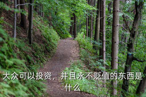 大眾可以投資，并且永不貶值的東西是什么
