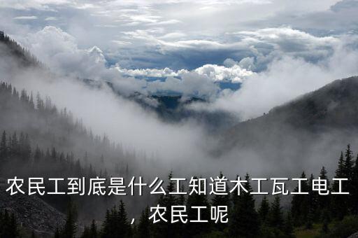 農(nóng)民工到底是什么工知道木工瓦工電工，農(nóng)民工呢
