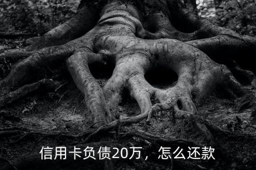 信用卡負債20萬，怎么還款