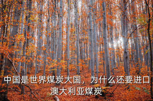 中國是世界煤炭大國，為什么還要進(jìn)口澳大利亞煤炭