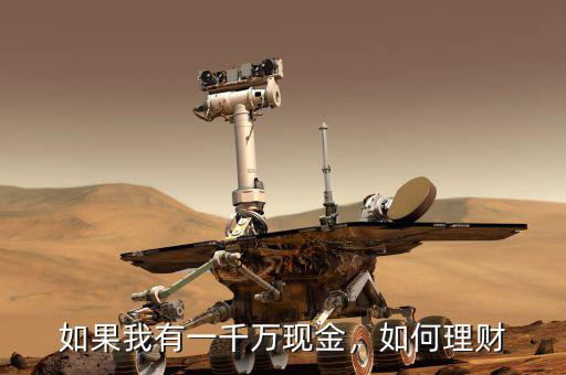 如果我有一千萬現(xiàn)金，如何理財