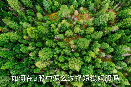 如何在a股中怎么選擇短線(xiàn)妖股嗎