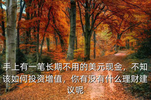 手上有一筆長(zhǎng)期不用的美元現(xiàn)金，不知該如何投資增值，你有沒有什么理財(cái)建議呢
