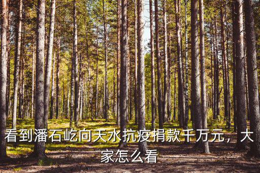 看到潘石屹向天水抗疫捐款千萬元，大家怎么看