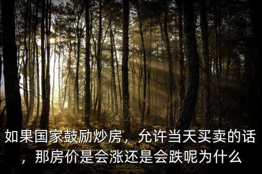 如果國家鼓勵炒房，允許當天買賣的話，那房價是會漲還是會跌呢為什么