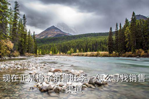 現(xiàn)在正是橙子銷售旺季，怎么尋找銷售渠道