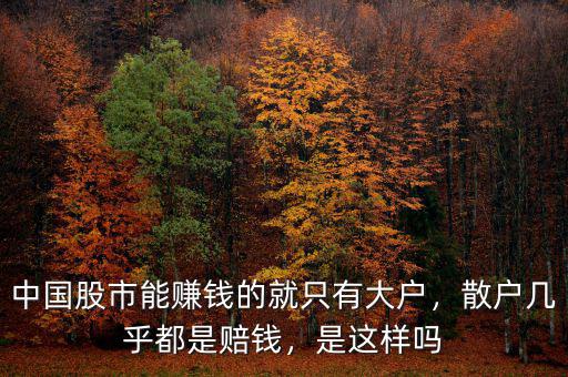 中國股市能賺錢的就只有大戶，散戶幾乎都是賠錢，是這樣嗎