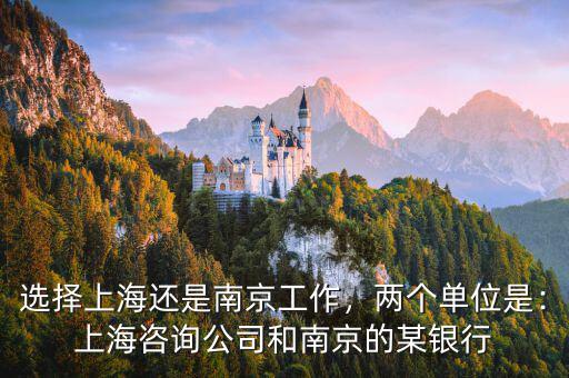 選擇上海還是南京工作，兩個(gè)單位是：上海咨詢公司和南京的某銀行