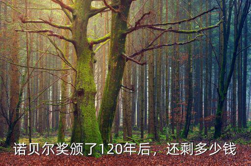諾貝爾獎頒了120年后，還剩多少錢