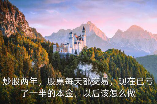 炒股兩年，股票每天都交易，現(xiàn)在已虧了一半的本金，以后該怎么做