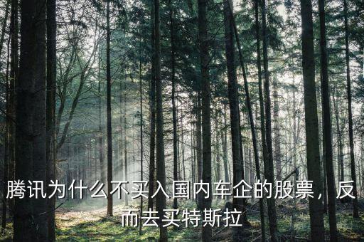 騰訊為什么不買入國(guó)內(nèi)車企的股票，反而去買特斯拉