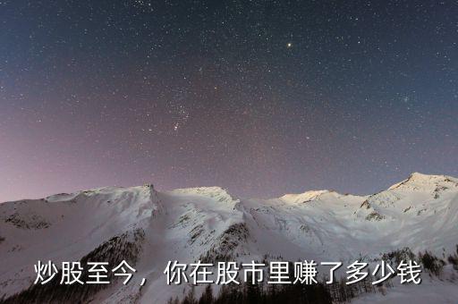 炒股至今，你在股市里賺了多少錢
