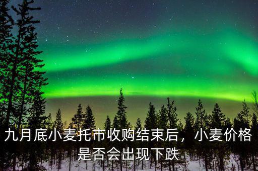 九月底小麥托市收購(gòu)結(jié)束后，小麥價(jià)格是否會(huì)出現(xiàn)下跌