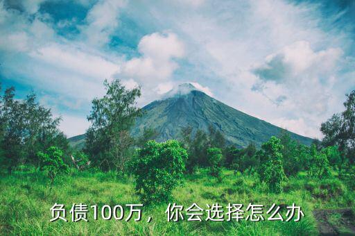 負(fù)債100萬(wàn)，你會(huì)選擇怎么辦