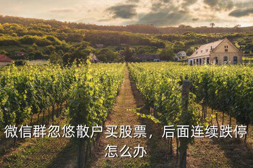 微信群忽悠散戶(hù)買(mǎi)股票，后面連續(xù)跌停怎么辦