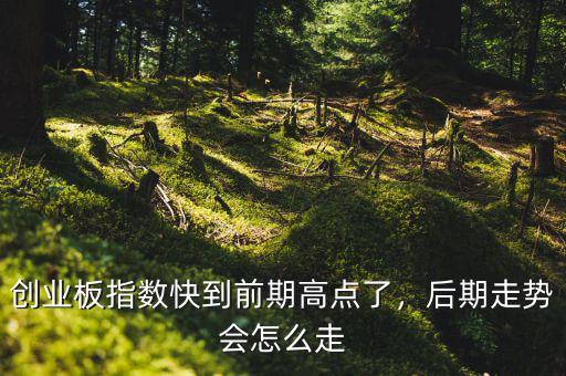 創(chuàng)業(yè)板指數(shù)快到前期高點了，后期走勢會怎么走
