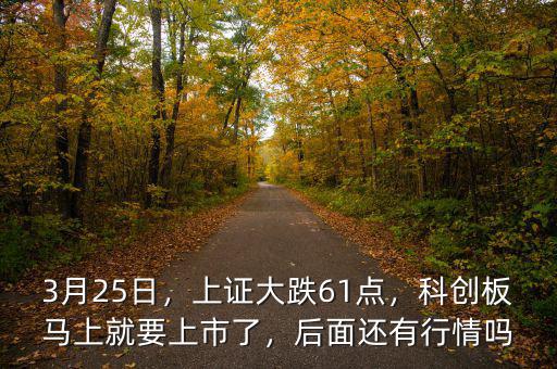 3月25日，上證大跌61點，科創(chuàng)板馬上就要上市了，后面還有行情嗎
