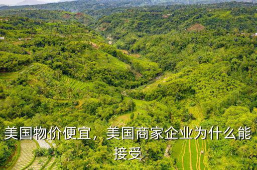美國(guó)物價(jià)便宜，美國(guó)商家企業(yè)為什么能接受
