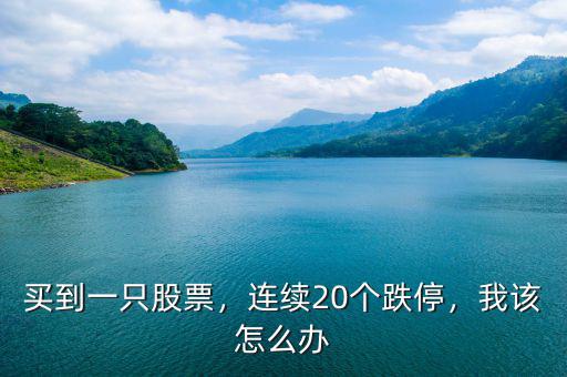 買到一只股票，連續(xù)20個跌停，我該怎么辦