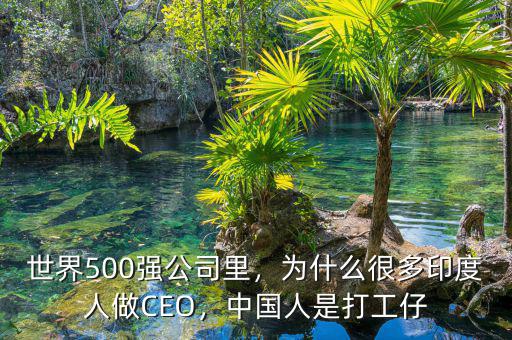 世界500強(qiáng)公司里，為什么很多印度人做CEO，中國(guó)人是打工仔