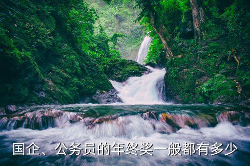 國(guó)企、公務(wù)員的年終獎(jiǎng)一般都有多少