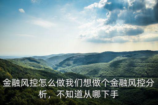 金融風控怎么做我們想做個金融風控分析，不知道從哪下手