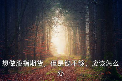 想做股指期貨，但是錢不夠，應該怎么辦