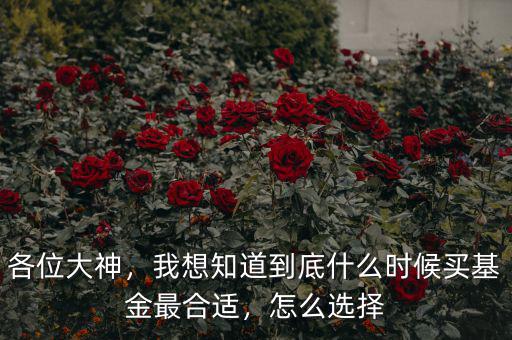各位大神，我想知道到底什么時(shí)候買基金最合適，怎么選擇