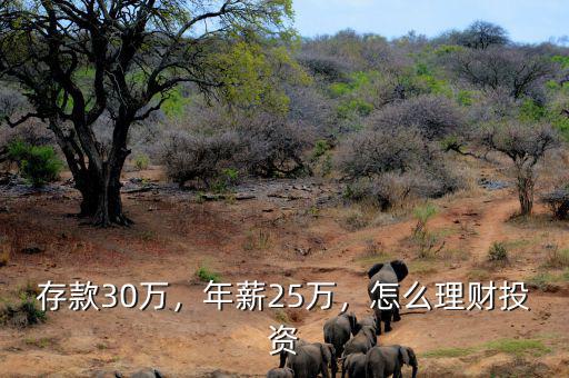 存款30萬(wàn)，年薪25萬(wàn)，怎么理財(cái)投資