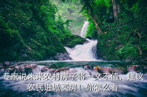 專(zhuān)家說(shuō)未來(lái)農(nóng)村房子將一文不值，建議農(nóng)民進(jìn)城買(mǎi)房！你怎么看