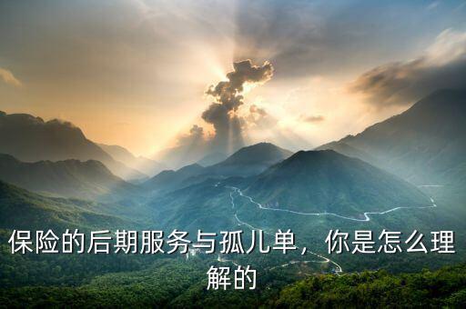 保險(xiǎn)的后期服務(wù)與孤兒?jiǎn)危闶窃趺蠢斫獾? class=