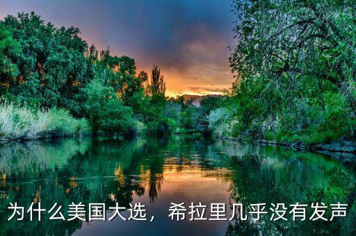 為什么美國大選，希拉里幾乎沒有發(fā)聲
