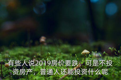 有些人說2019房價要跌，可是不投資房產(chǎn)，普通人還能投資什么呢